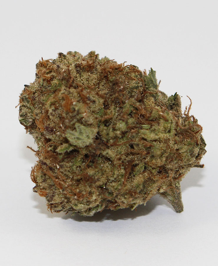 grape-crush-jco