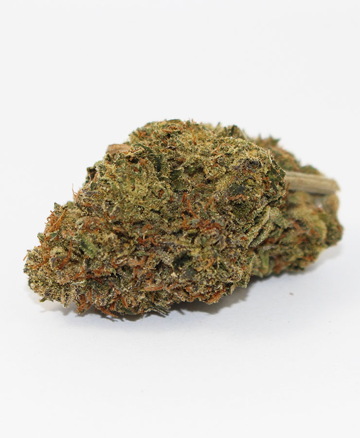 oreoz-jco