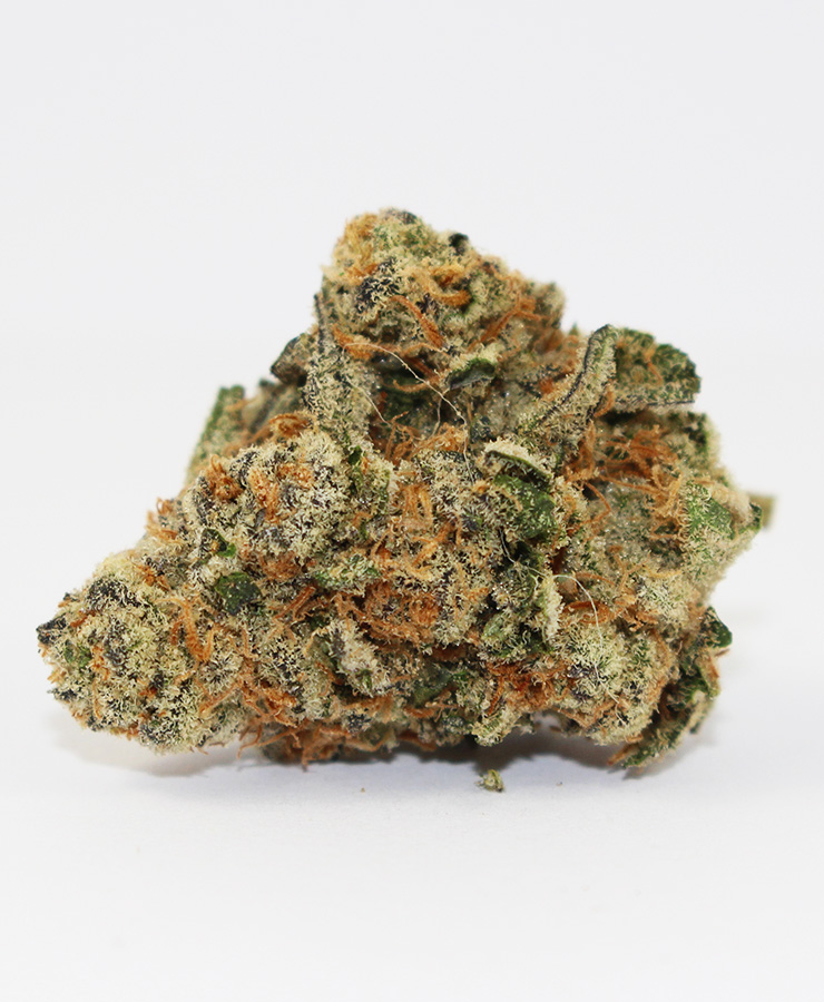 blue-cookies-jco